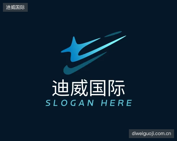 介绍迪威国际